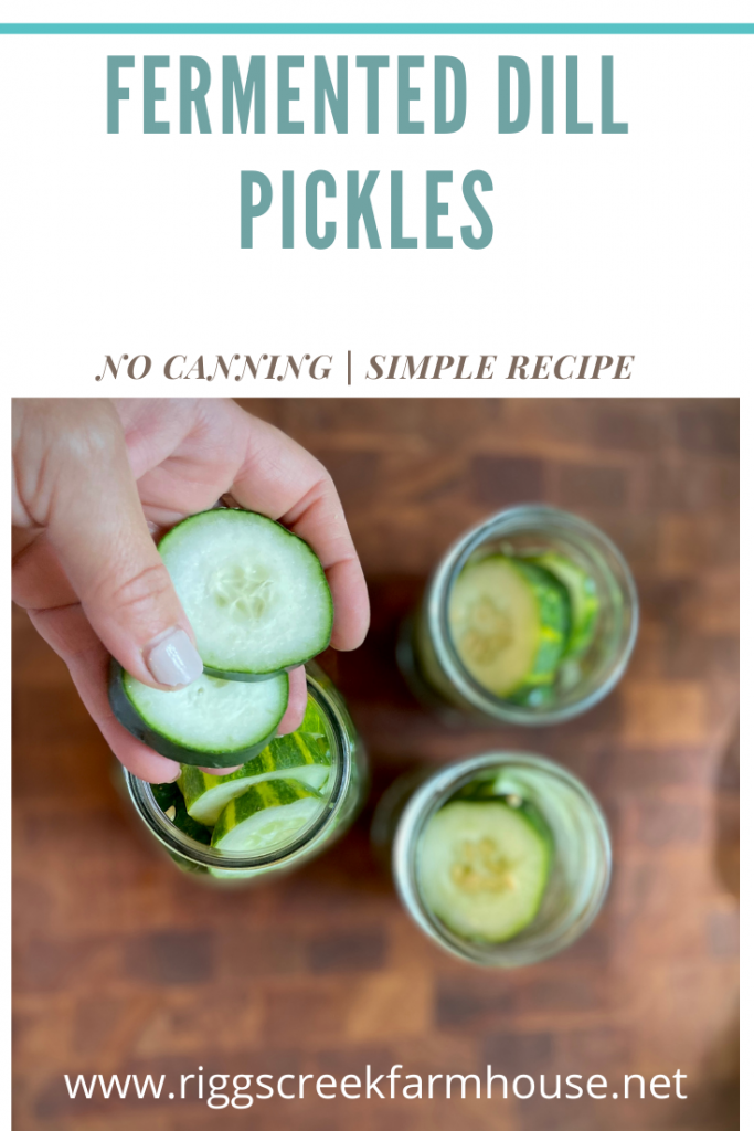 Tips and Tricks on making these Easy Homemade Fermented Dill Pickles