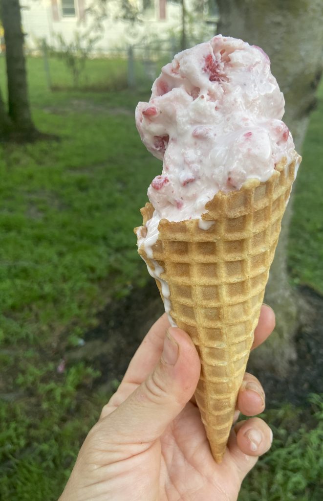 homemade strawberry ice cream cone