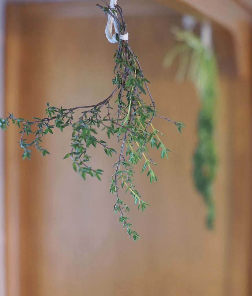 herbs hanging wrap in twine drying