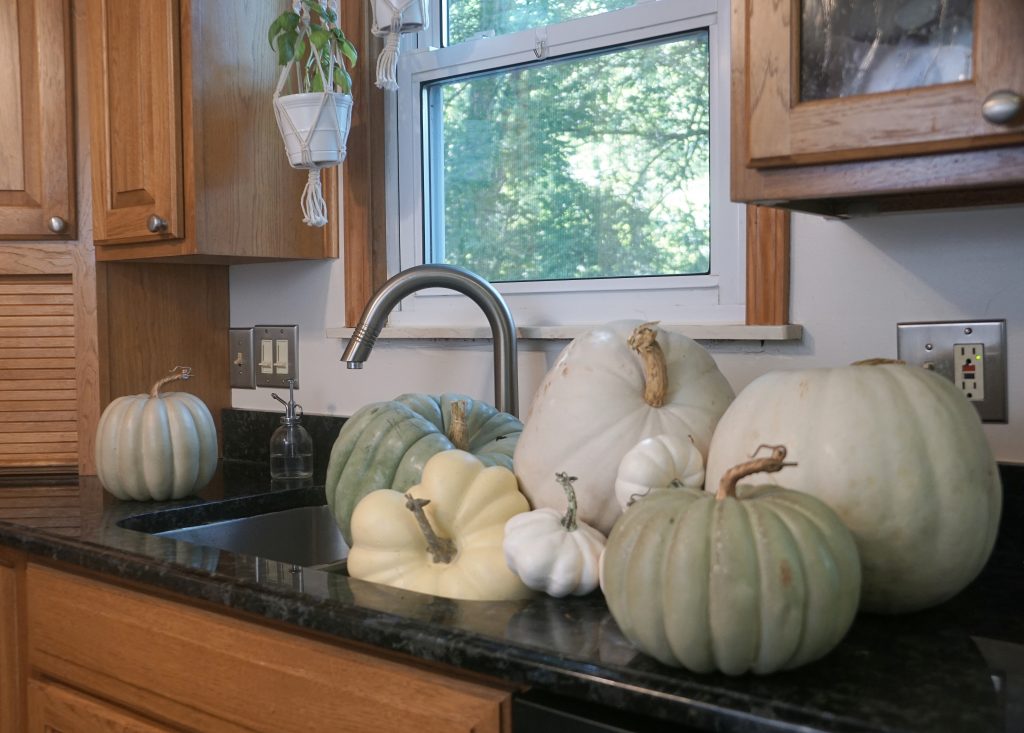 several pumpkins on a counter next to a sink