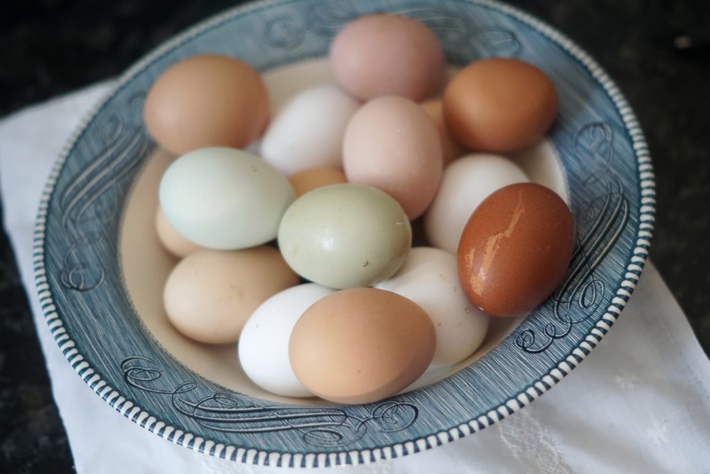variety of different color eggs in a blue and white ironstone bowl