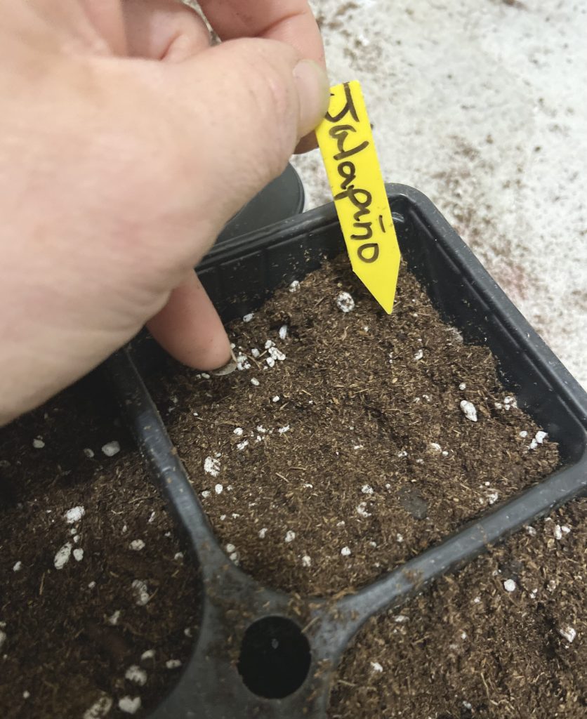 labeling seeds on a yellow label