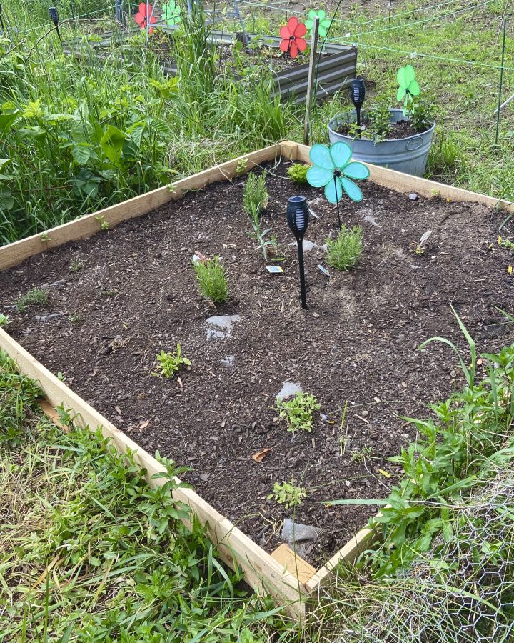 raised garden bed on a budget