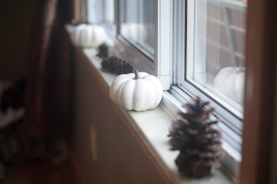 pinecones and white pumpkins on a window sill